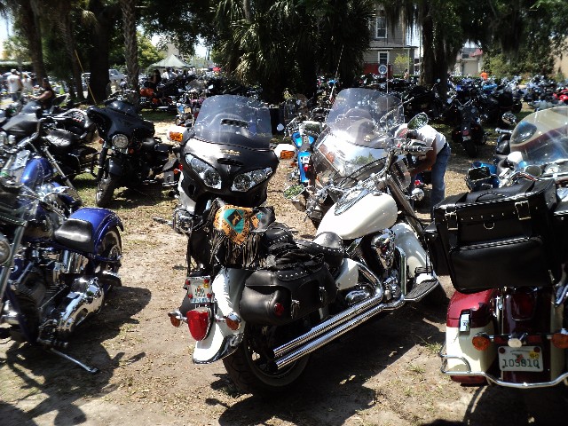 DSC00904.JPG